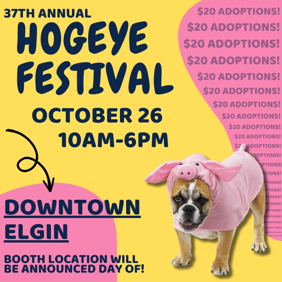 We will be at Hogeye with Pups and Dogs!