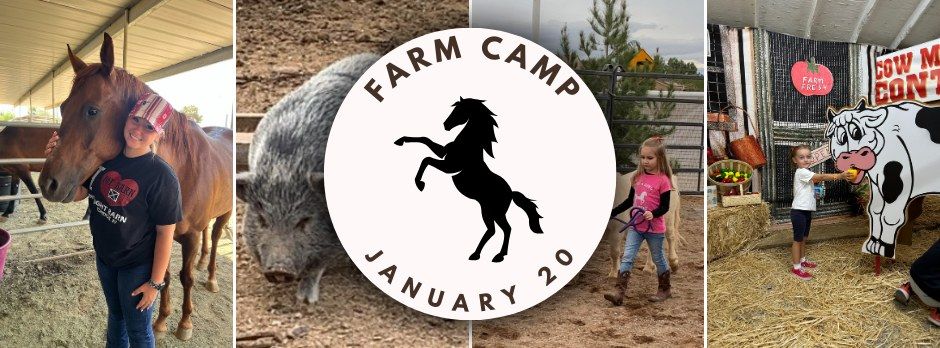 Farm Camp at The Ranch