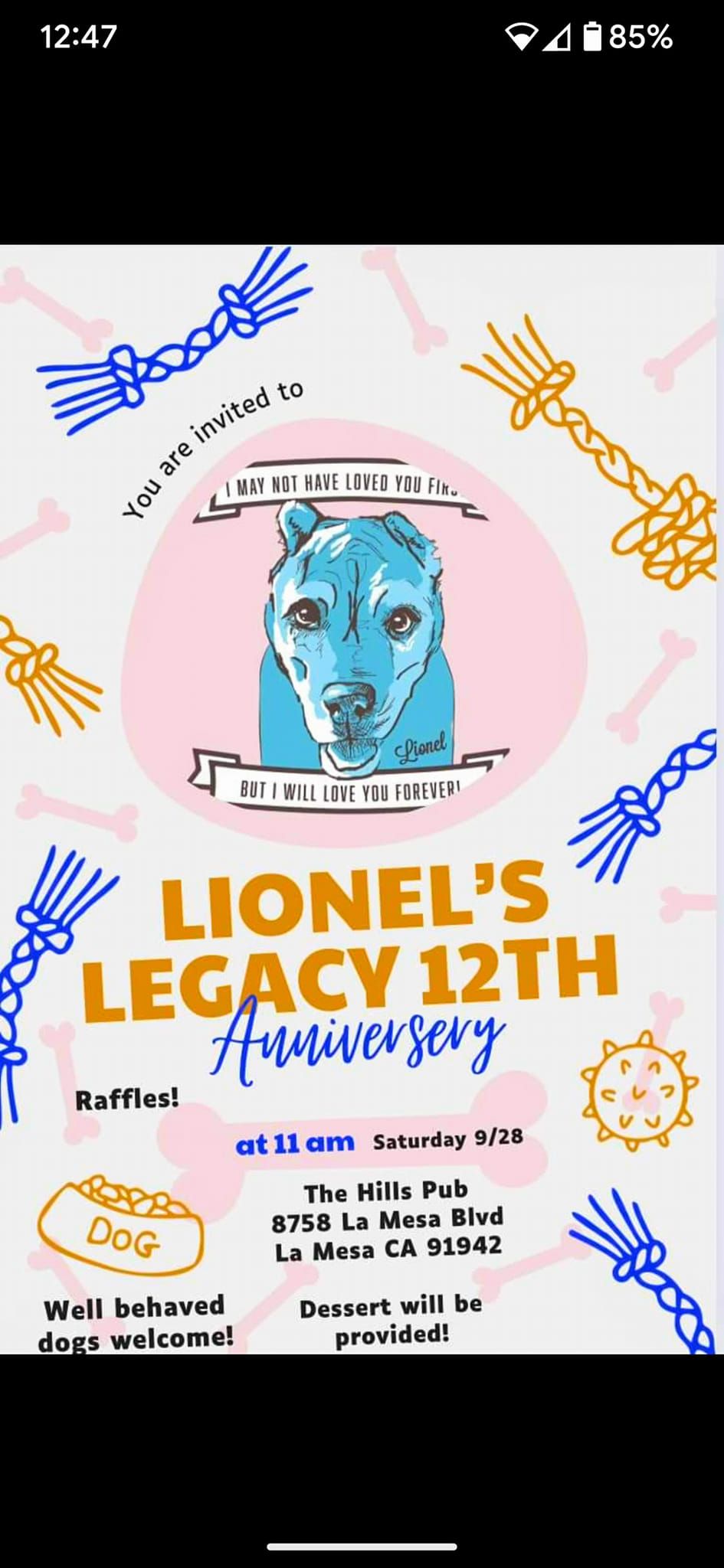 Lionel's Legacy 12th Anniversary! \ud83e\udd73\ud83d\udc3e