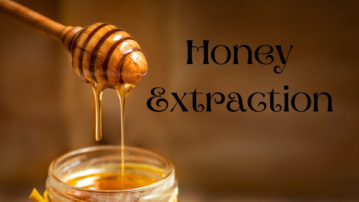 Honey Extraction