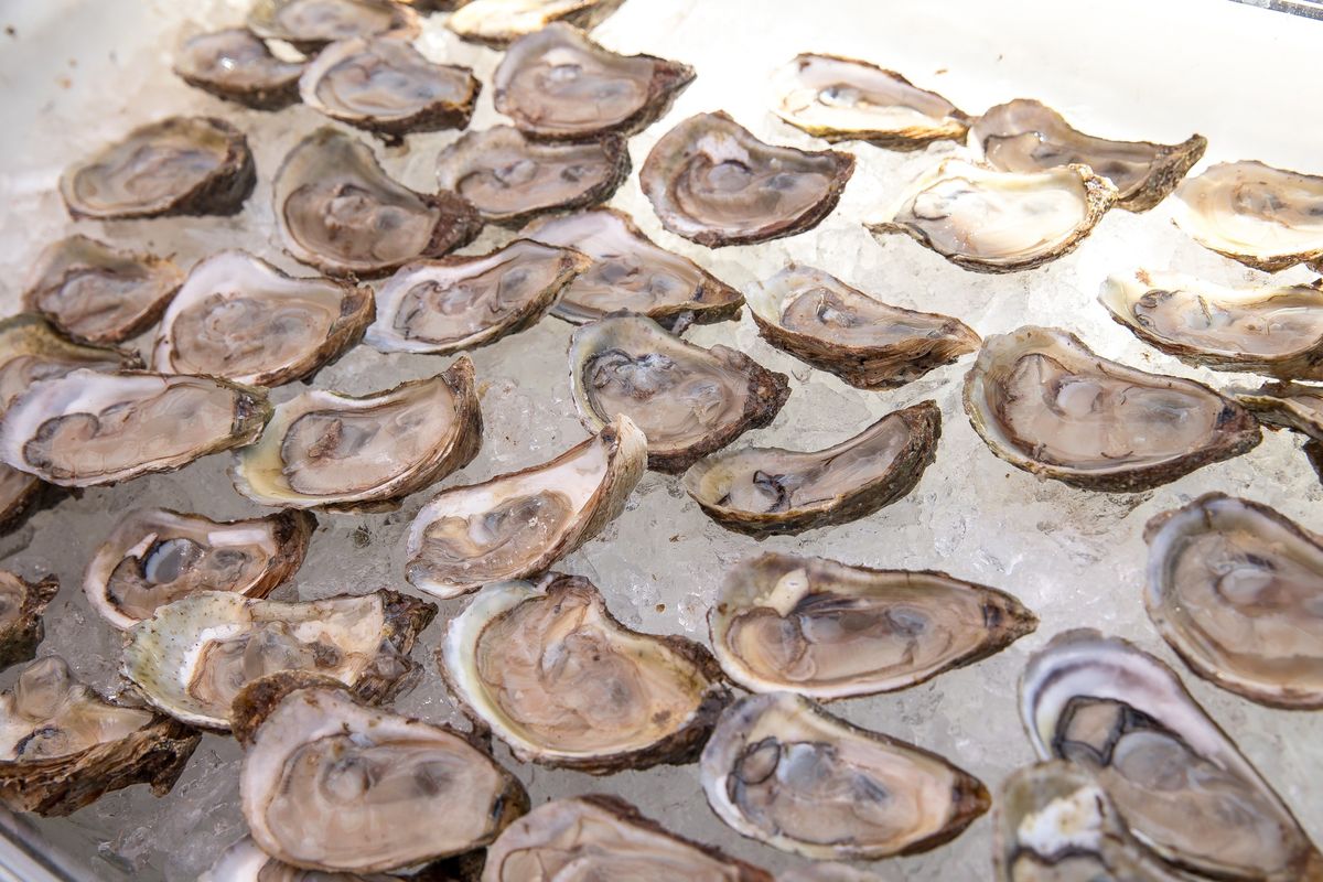 Brooklyn Oyster Fest