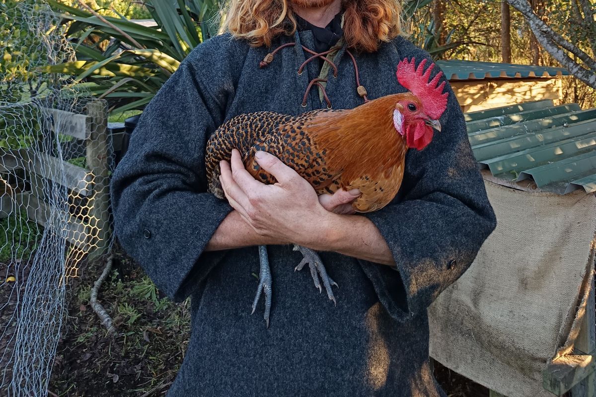 Permaculture Chooks with Oliver Liddell