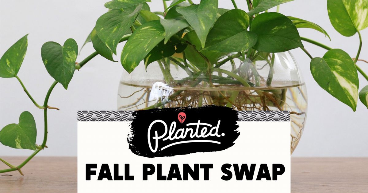 Fall Plant Swap