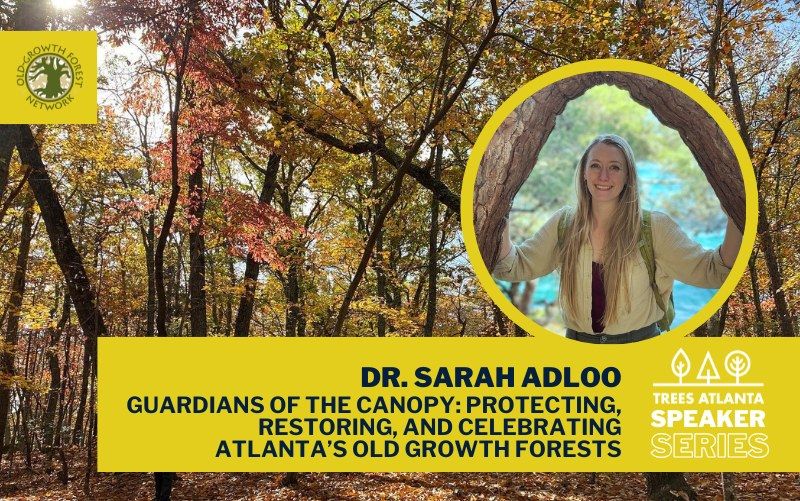 Speaker Series: Guardians of the Canopy - Protecting, Restoring, and Celebrating Atlanta's Old-Growt