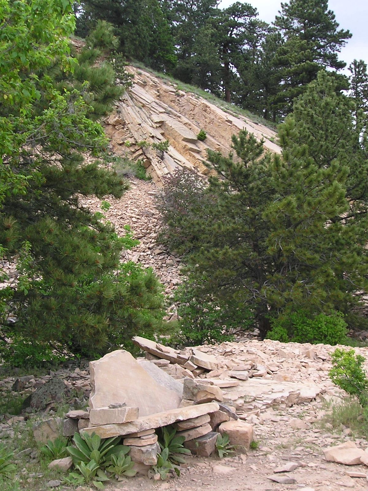 History Hike to Woods Quarry!