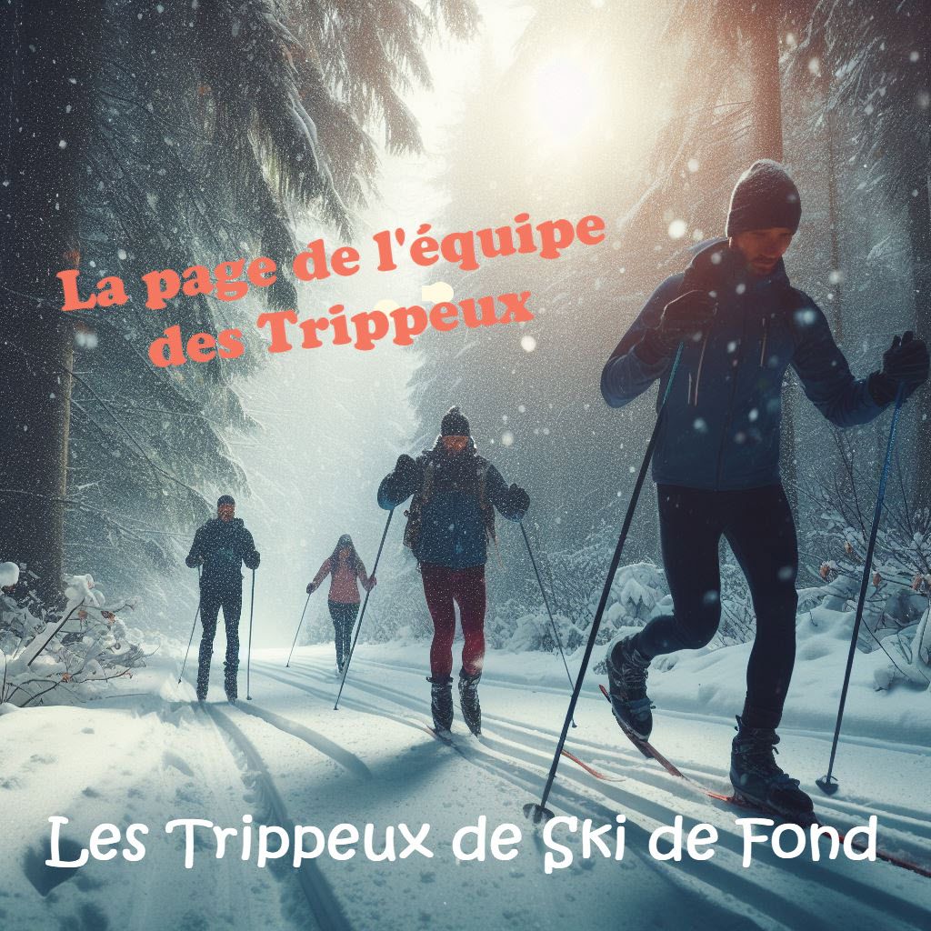 Cours techniques de ski (Qu\u00e9bec)