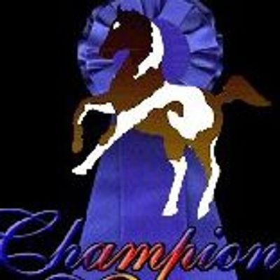 CHAMPION SADDLERY