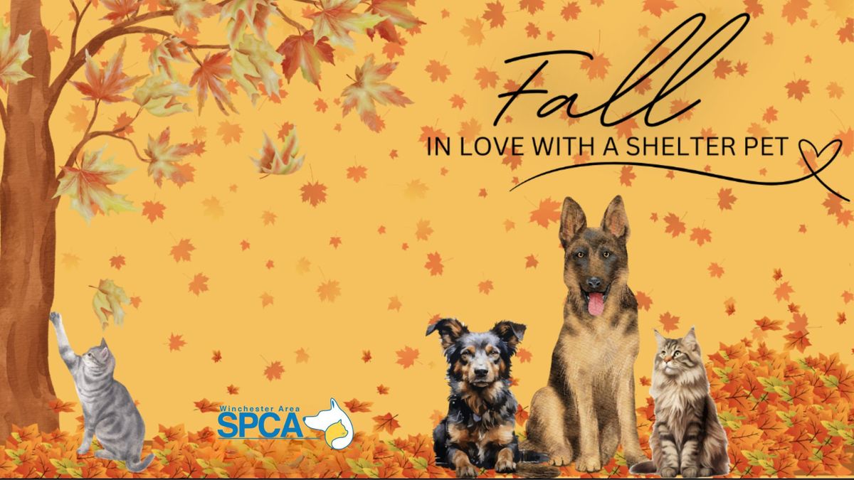 FALL in Love with a Shelter Pet Adoption Special 