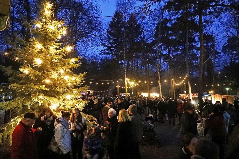 Romantische Waldweihnacht