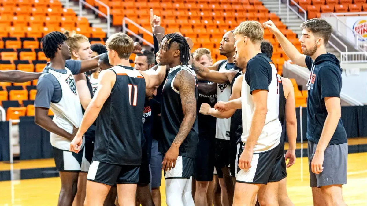 Mercer Bears at Samford Bulldogs Mens Basketball