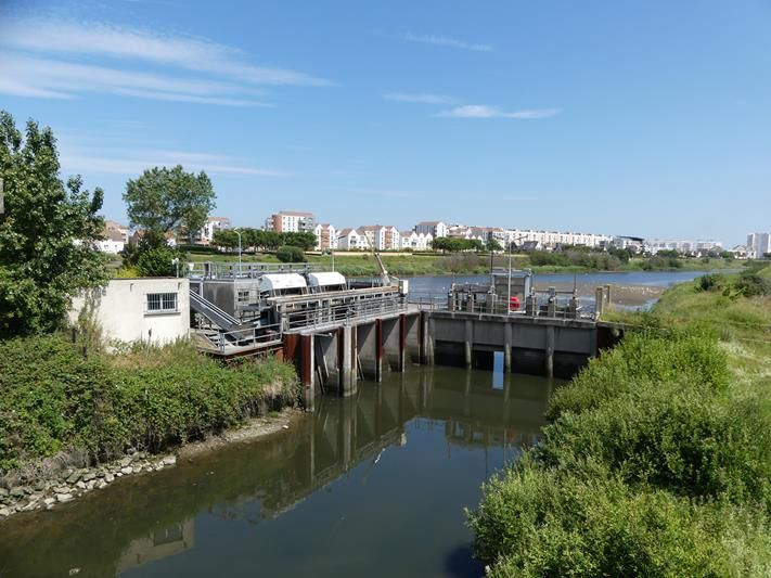 Semaines de la Mer - Randonn\u00e9e p\u00e9dagogique "Calais, entre terre et mer"