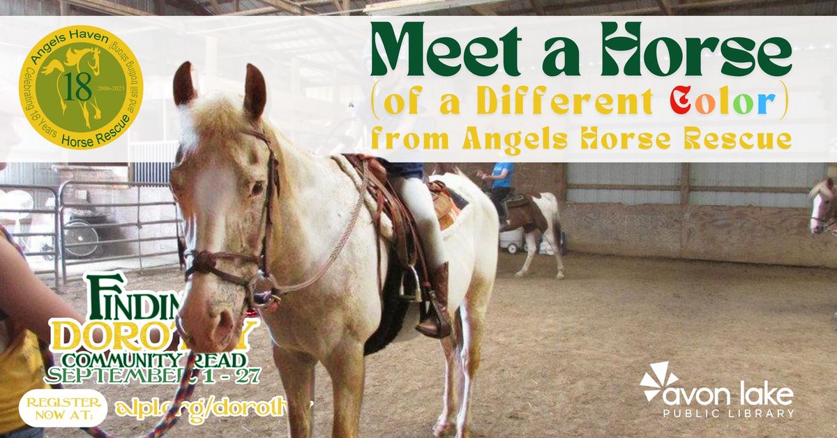 Meet a Horse (Of a Different Color): With Angels Haven Horse Rescue