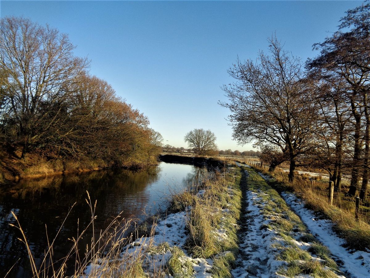 Hamstreet 10 mile walk