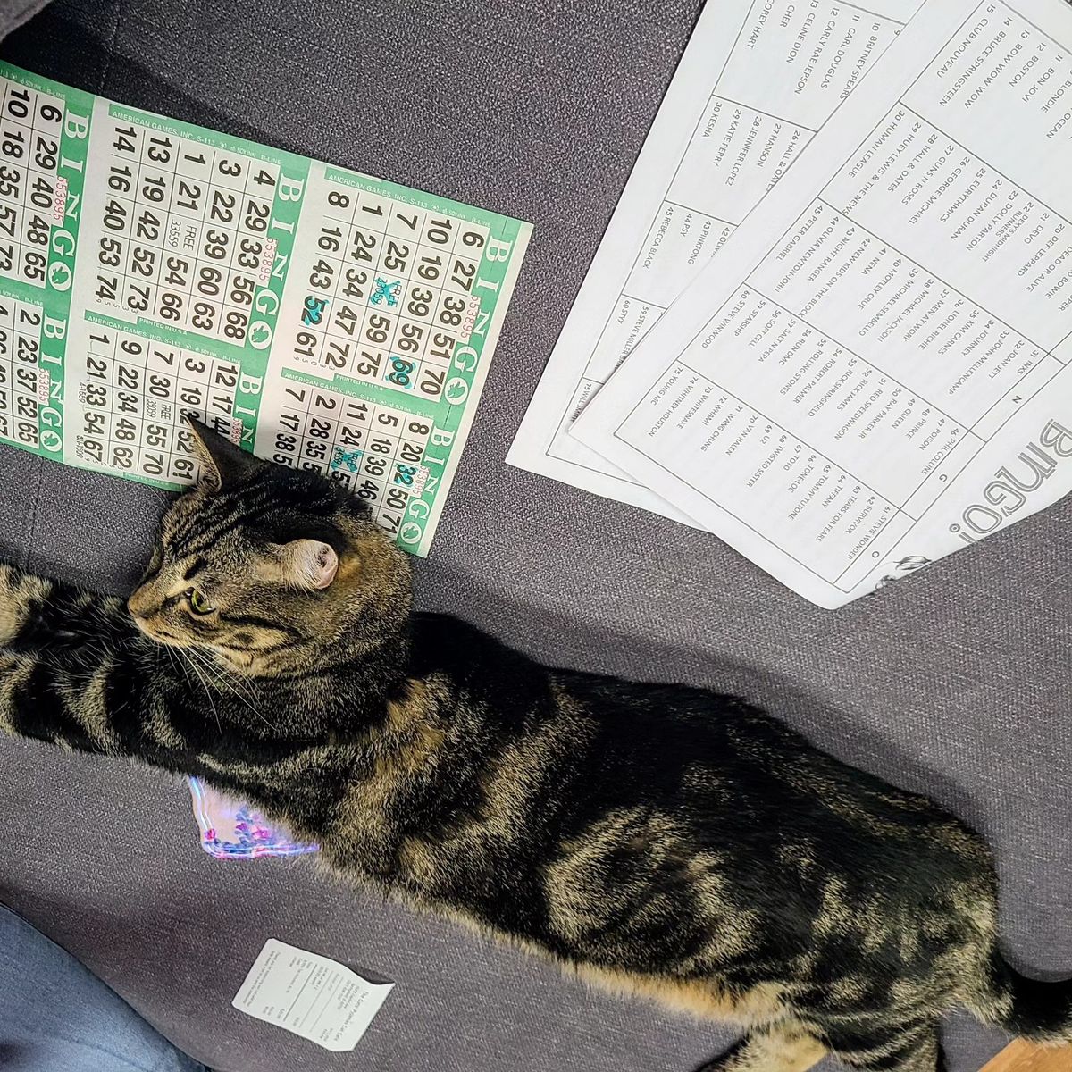 Music Bingo with Cats