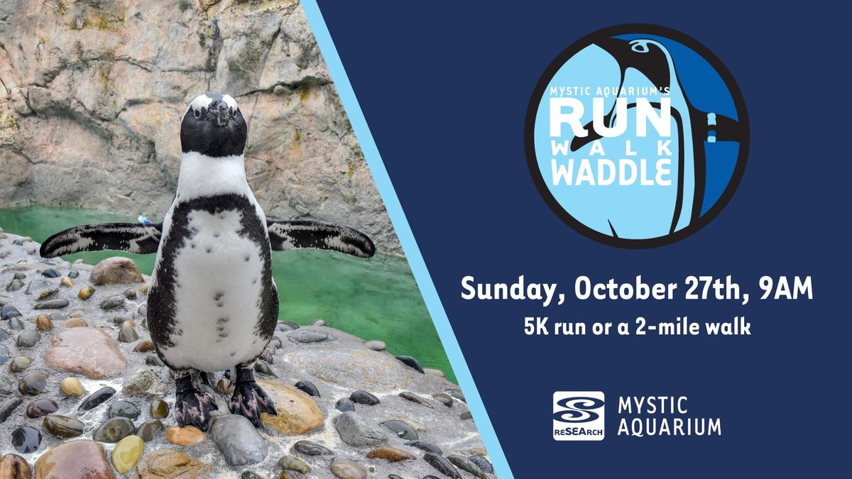 Mystic Aquarium's Penguin Run Walk Waddle 5k