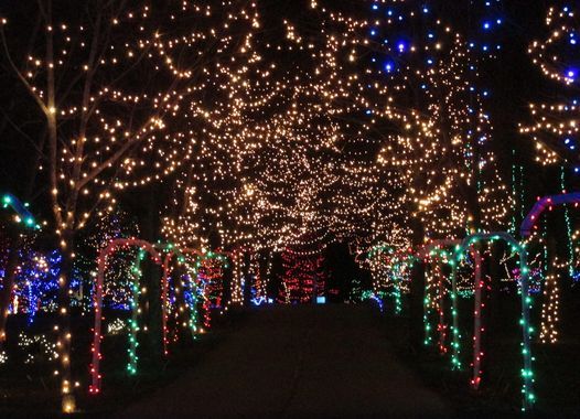 Hamilton Drive Thru Christmas Lights 2022 2022 ✪ Christmas In Lights Drive-Thru ✪, Online, 10 January To 11 January