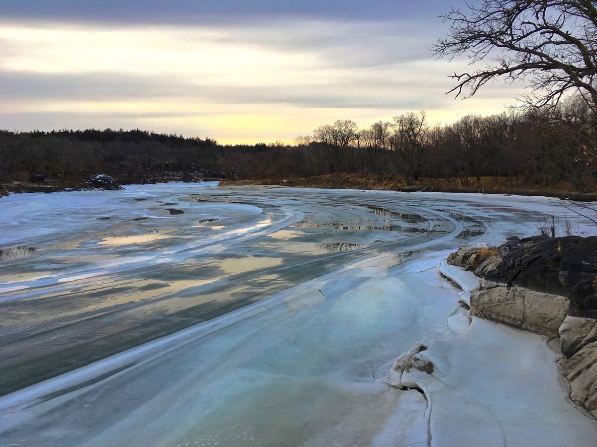 Intro to Hiking: Louisville Swamp