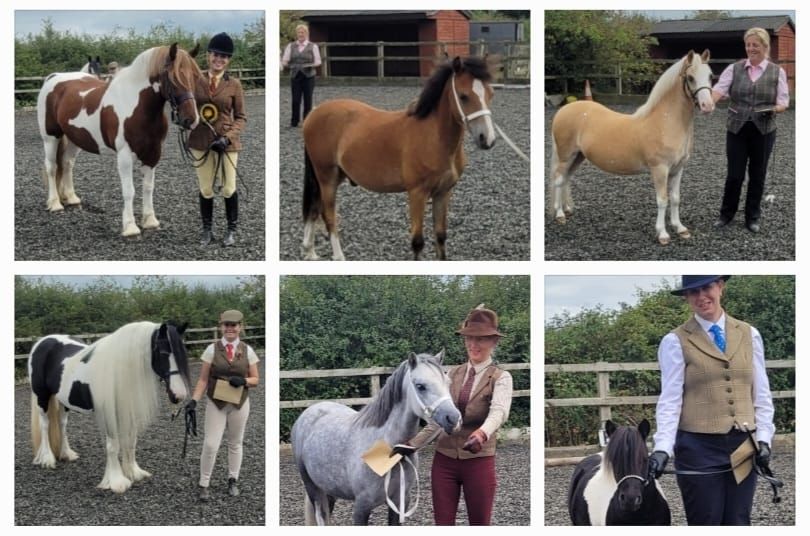 RIDDEN & INHAND\u2606\u2606 SUNDAY 30th MARCH \u25a0\u25a0Mill lane Stables, Selby\u25a0