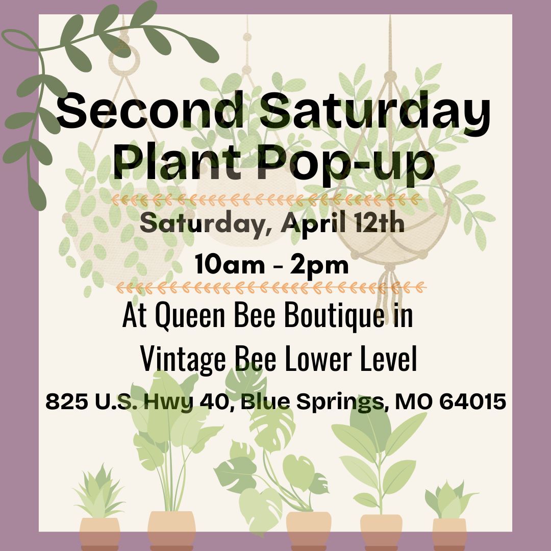 Second Saturday Plant Pop-up At Queen Bee Boutiques 