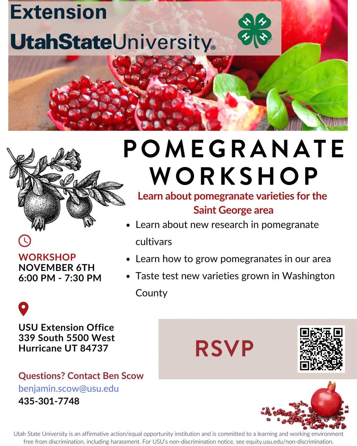 Pomegranate Workshop