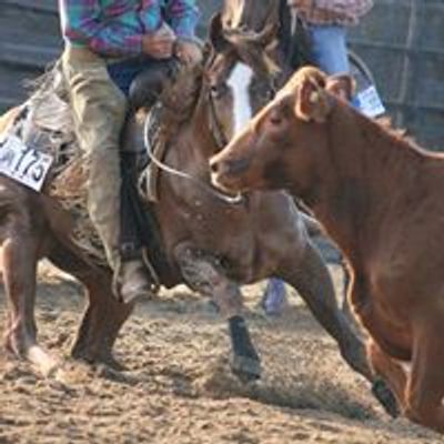 Foundation Quarter Horse Registry - Michigan Affiliate