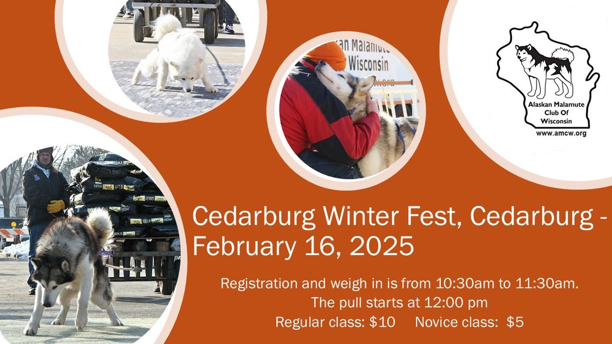 AMCW Weight Pull ~ Cedarburg Winter Fest