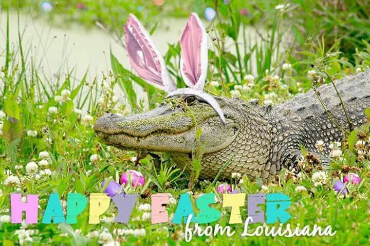 Easter at Crawdaddy's on Greenfield!