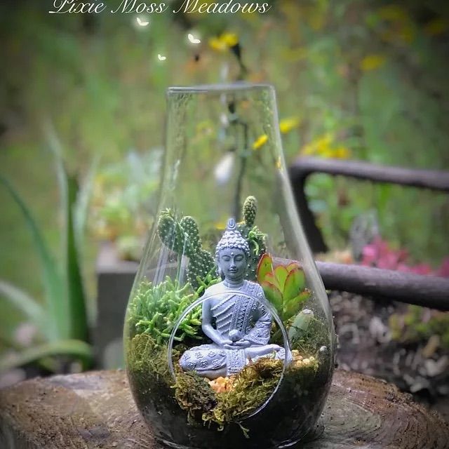 Buddha Zen Succulent Terrarium Workshop