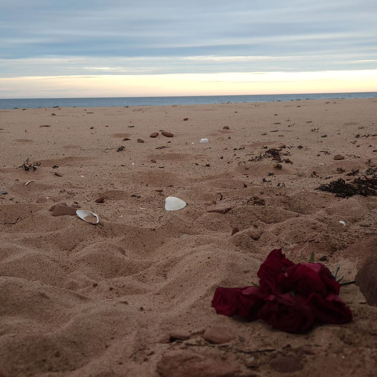 Beach Reiki\/Sound Bath