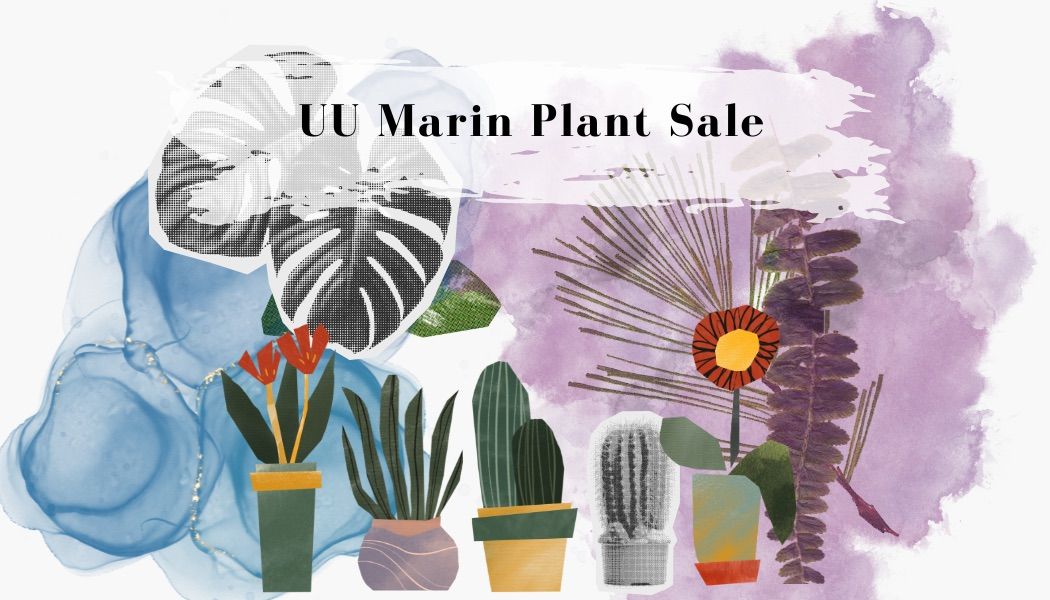 UU Marin Plant Sale: Grow Your Garden, Support Family Ministries! \ud83c\udf38\ud83d\udc1d