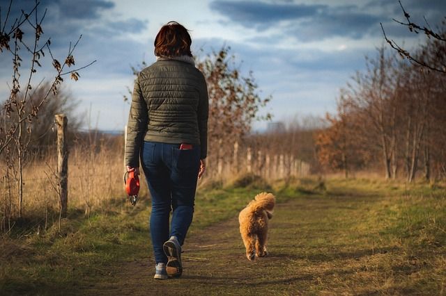 Wellbeing Walk