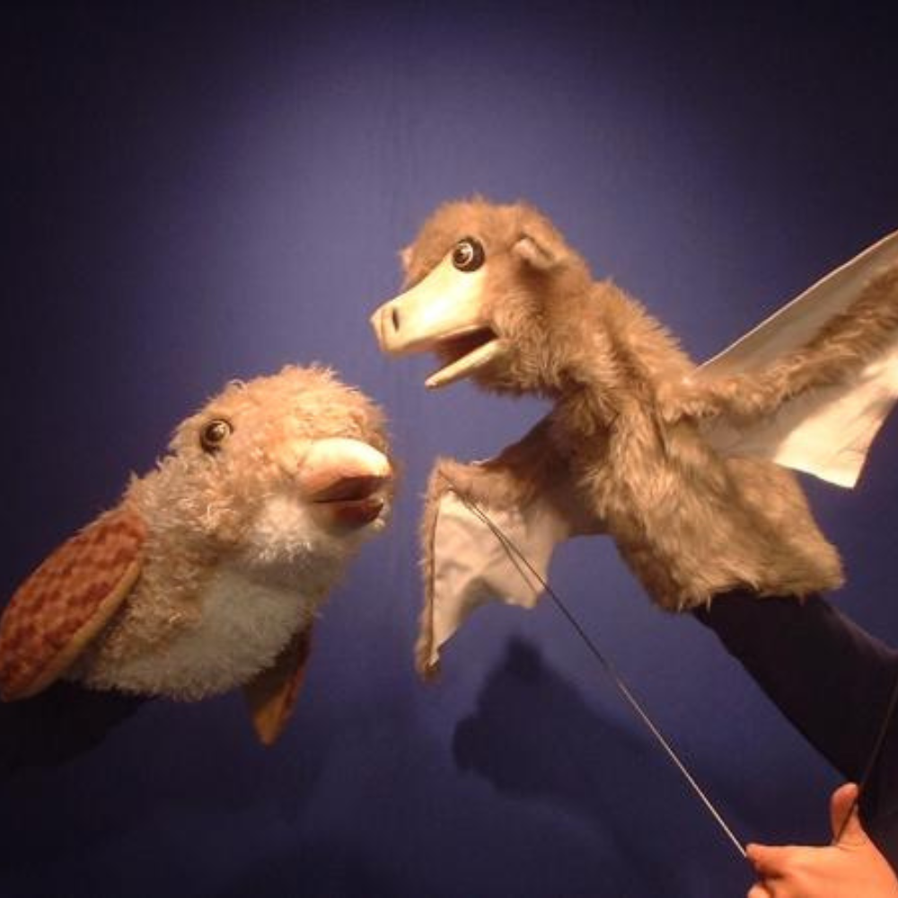 Stellaluna at Hult Center - Soreng Theater