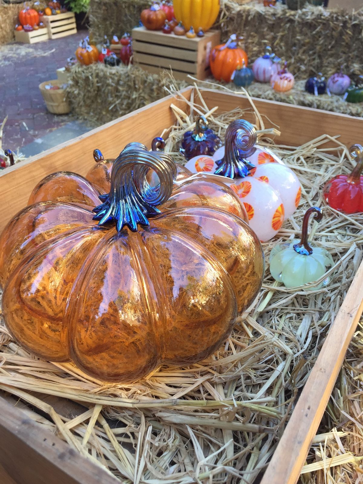 Glass Pumpkin Festival