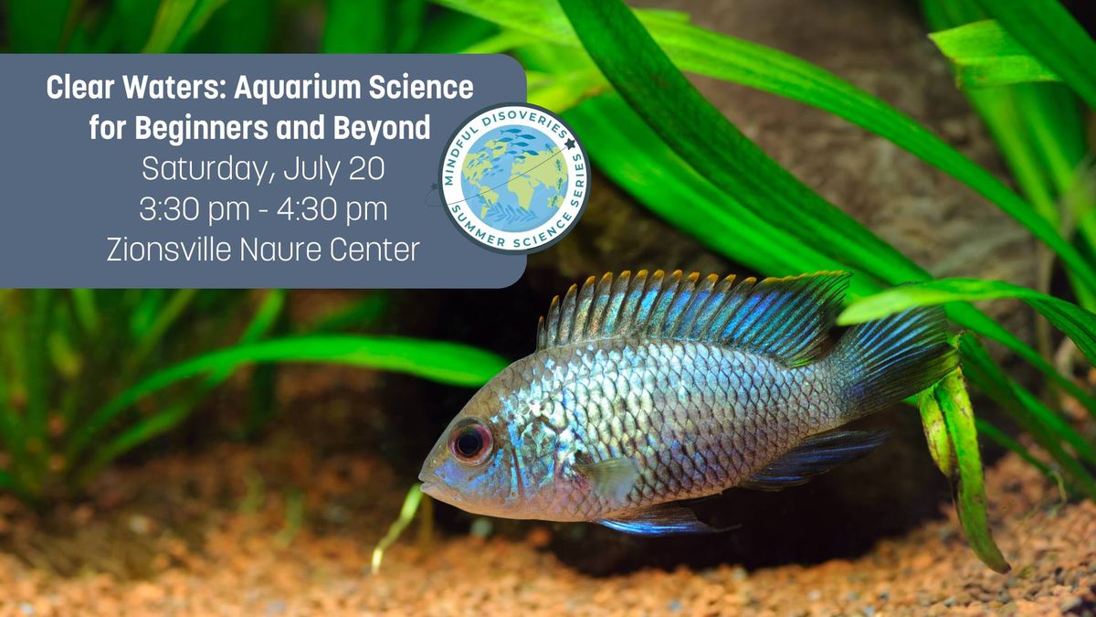 Summer Science Series - Clear Waters: Aquarium Science for Beginners and Beyond 