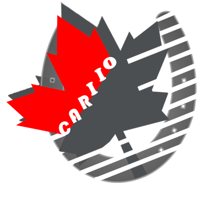 CARIIO Corp