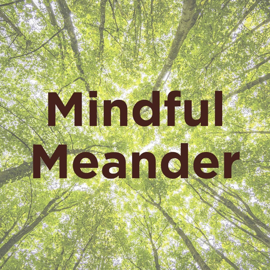 Mindful Meander - Forest Bathing Experince