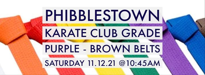 Phibblestown Karate Club Purple - Brown Belt Grade