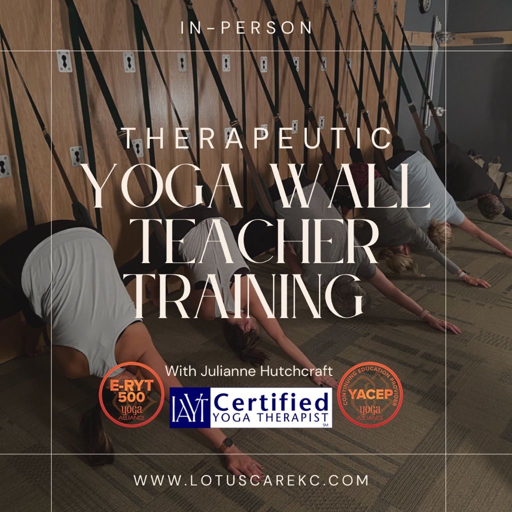 Level One Yoga Wall Teacher Training