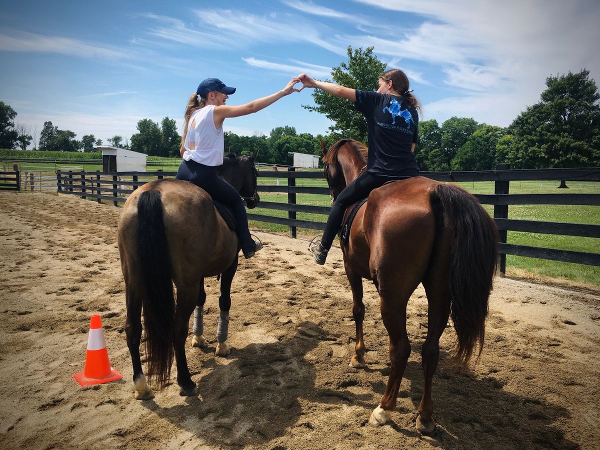 DIY Horse Treats 