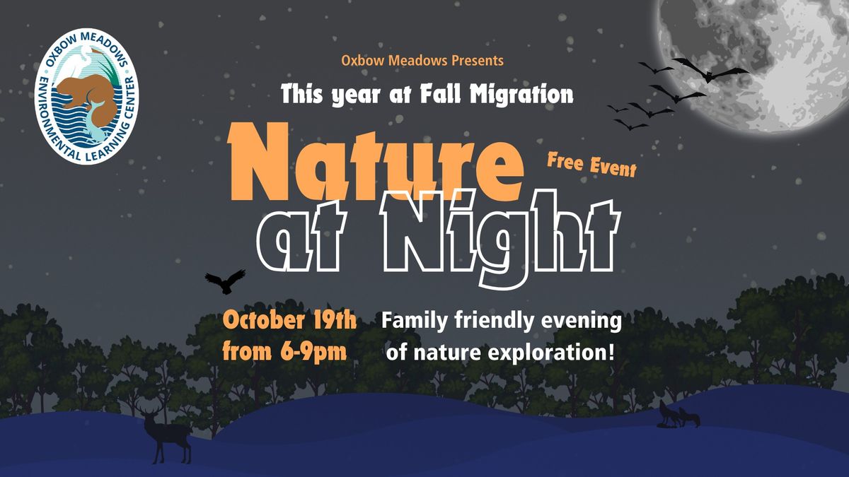 Fall Migration: Nature at Night!