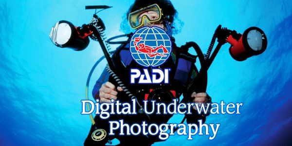 Underwater Photography 
