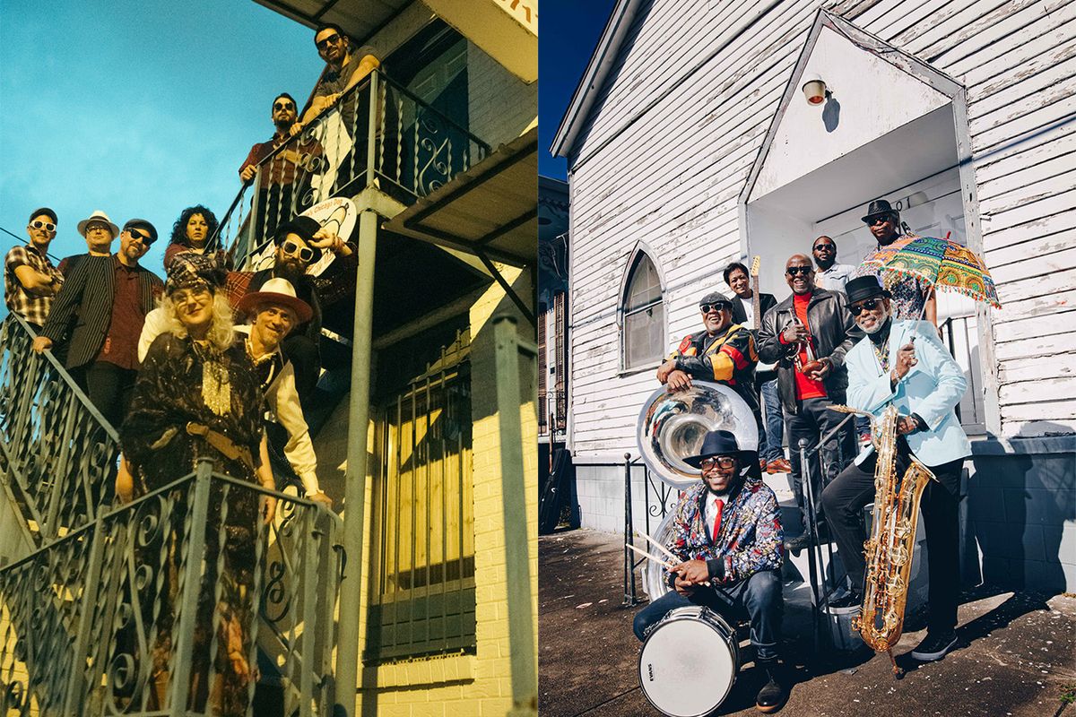 Parking Squirrel Nut Zippers