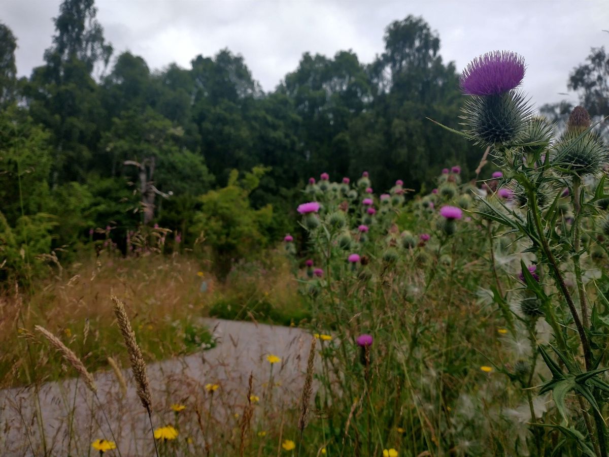 Gaelic Landscape Walk: Ceum an Aitinn