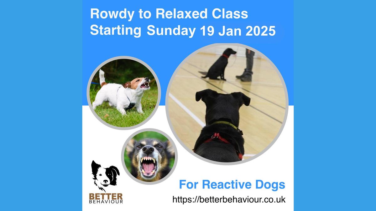 Rowdy to Relaxed - For Reactive Dogs  Starting 19 Jan 2025