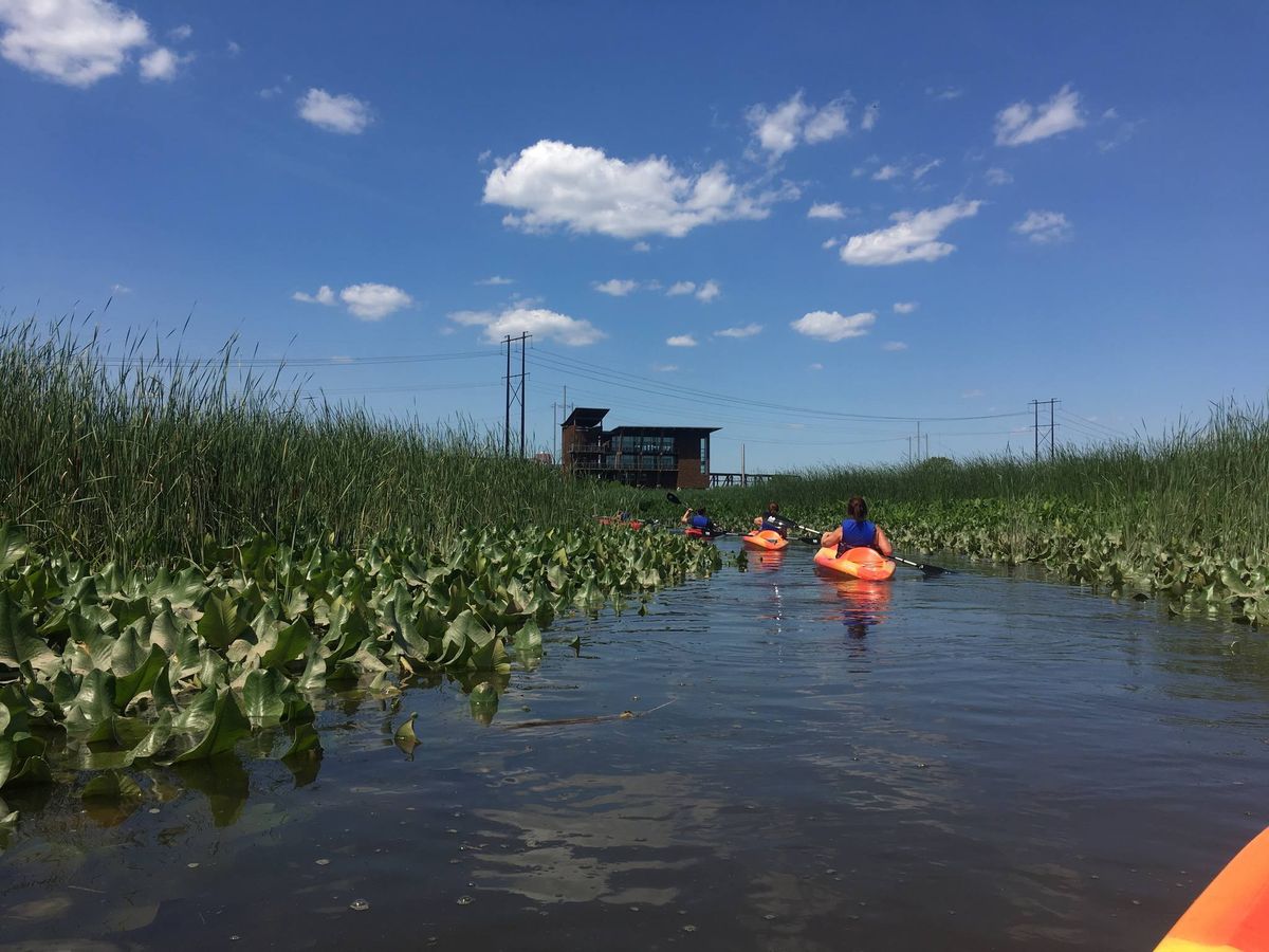 Kayak the Christina: Freshwater Wetlands