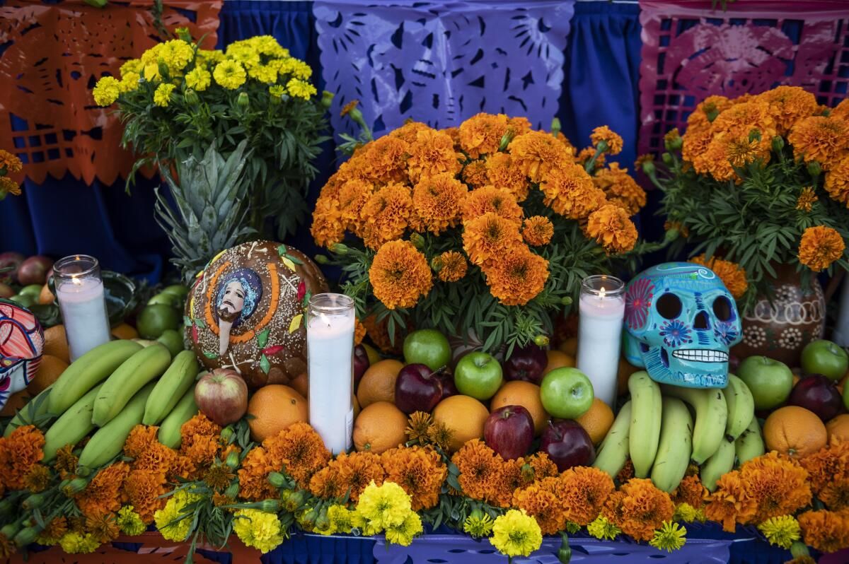Dia De Los Muertos Celebration at Boettcher Hall