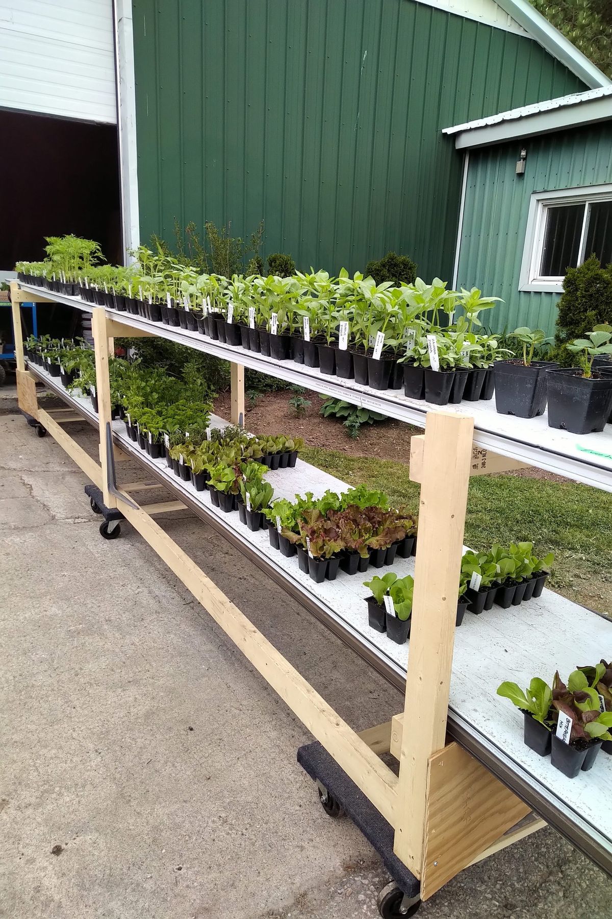 2nd 2024 Seedling Sale at the Farm Store