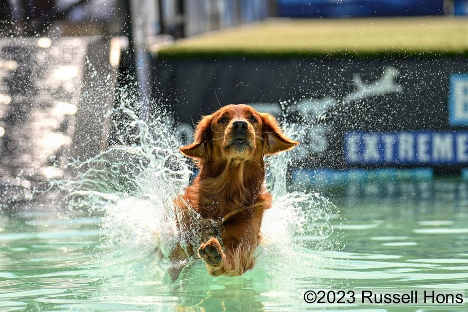 DockDogs\u00ae at the 2024 SNAC Events \u2013 Quebec City