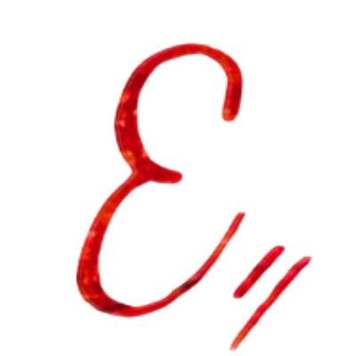 The Examiner