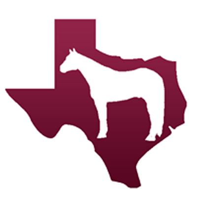 Texas Horse